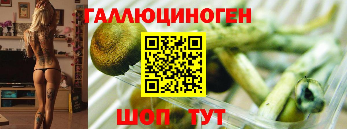 Галлюциногенные грибы прущие грибы  Вход с VPN  Муром 